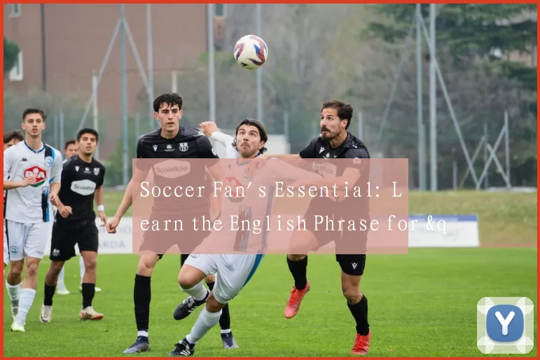 Soccer Fan's Essential: Learn the English Phrase for "在世界杯上参赛"