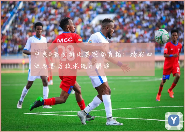 中央5套女排比赛现场直播：精彩回放与赛后技术统计解读