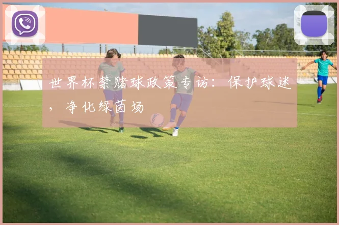 世界杯禁赌球政策专访：保护球迷，净化绿茵场