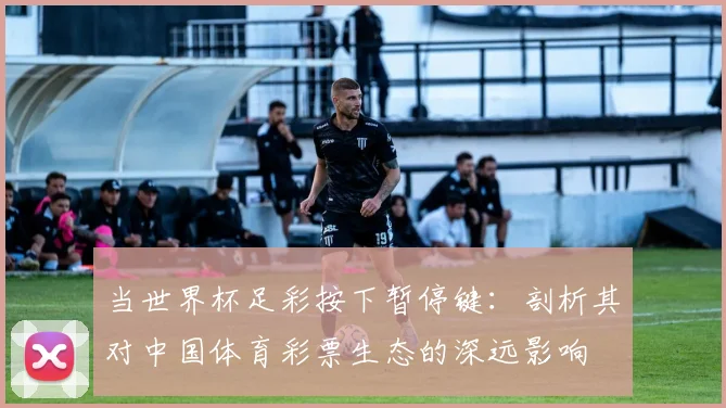 当世界杯足彩按下暂停键：剖析其对中国体育彩票生态的深远影响