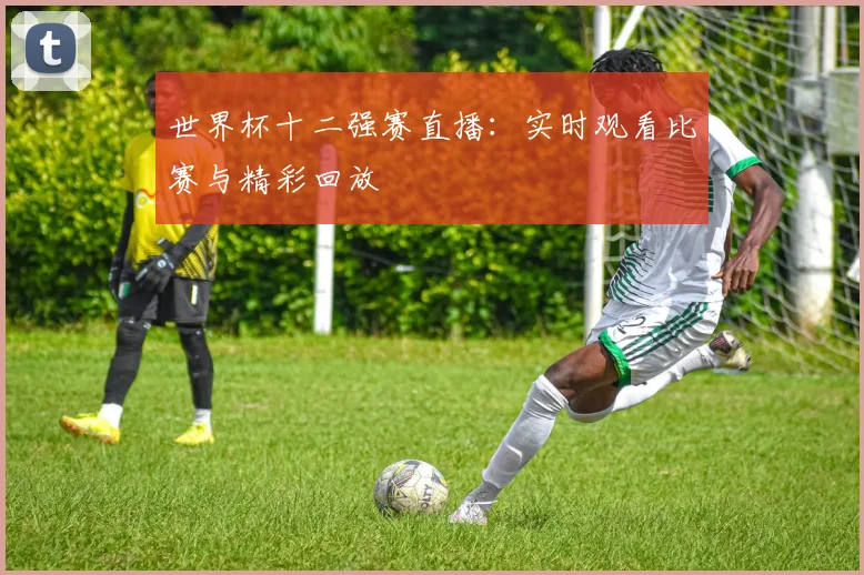 世界杯十二强赛直播：实时观看比赛与精彩回放