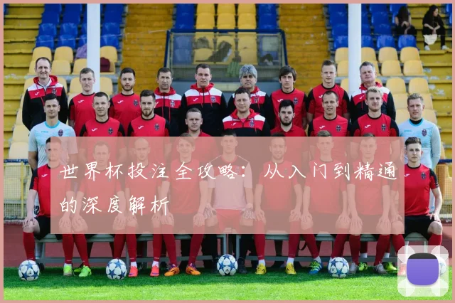 世界杯投注全攻略：从入门到精通的深度解析