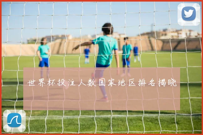 世界杯投注人数国家地区排名揭晓