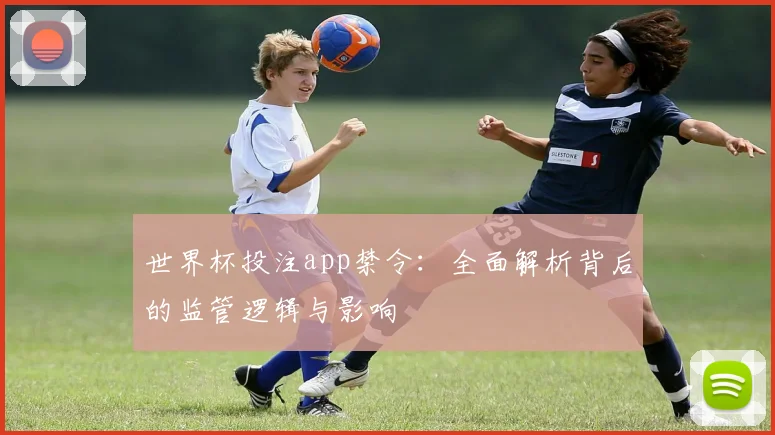 世界杯投注app禁令：全面解析背后的监管逻辑与影响