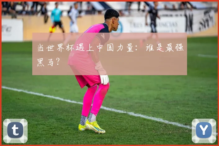 当世界杯遇上中国力量：谁是最强黑马？